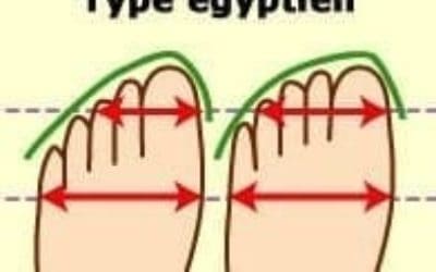 Différentes formes de pied