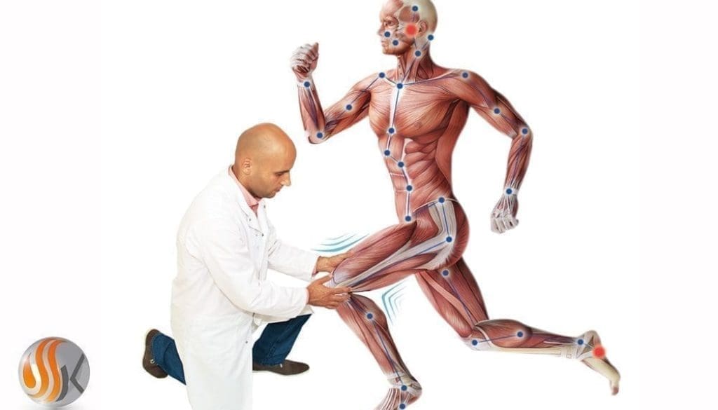 Orthokinesie - Posturologie Dynamique chez SSK Formation