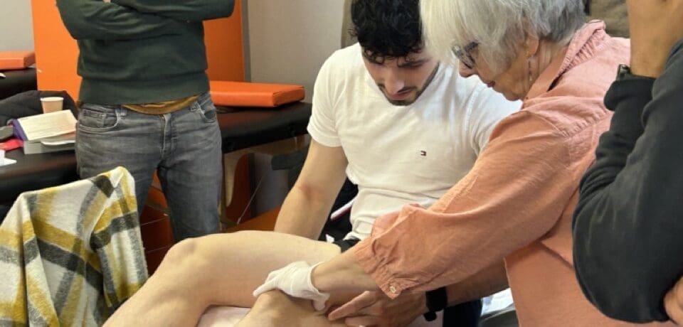 Dry Needling (24 Janvier – 13 Mars 2027) Bordeaux