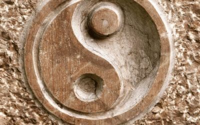 médecine chinoise farina