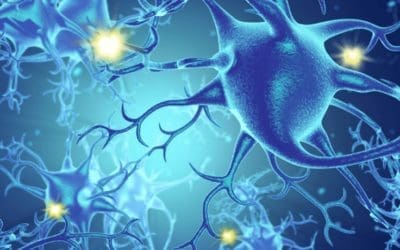 NEUROSCIENCES ET DOULEUR PERSISTANTE