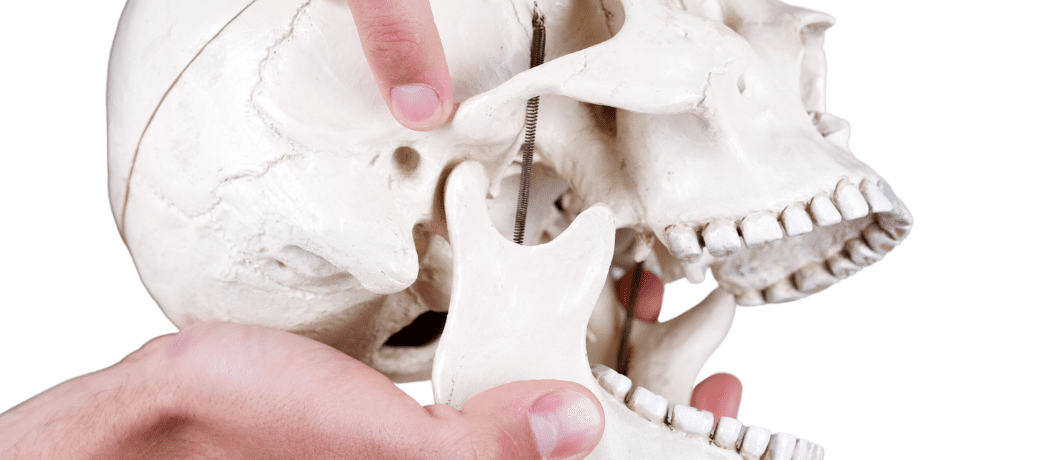Formation Rééducation Maxillo Oro Faciale (OMF) (31 Mars – 23 Mai 2025) Lille