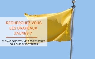 Article Neurosciences et douleurs persistantes Thomas Fargeot