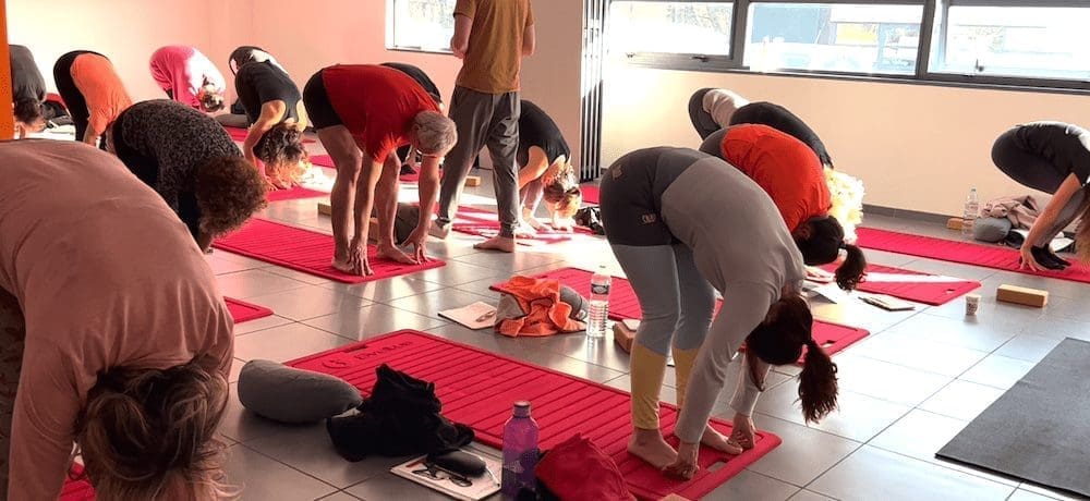 Yoga et Kinésithérapie (12-14 Décembre 2025) Bordeaux