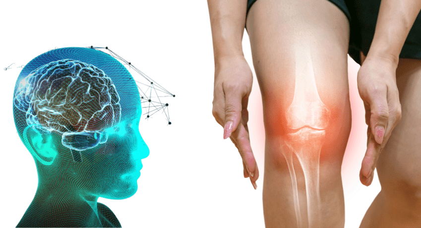 Formation La Reprogrammation Neuromotrice – Innovations et neurosciences en kinésithérapie