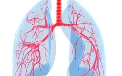 kiné respi et bruit respiratoire