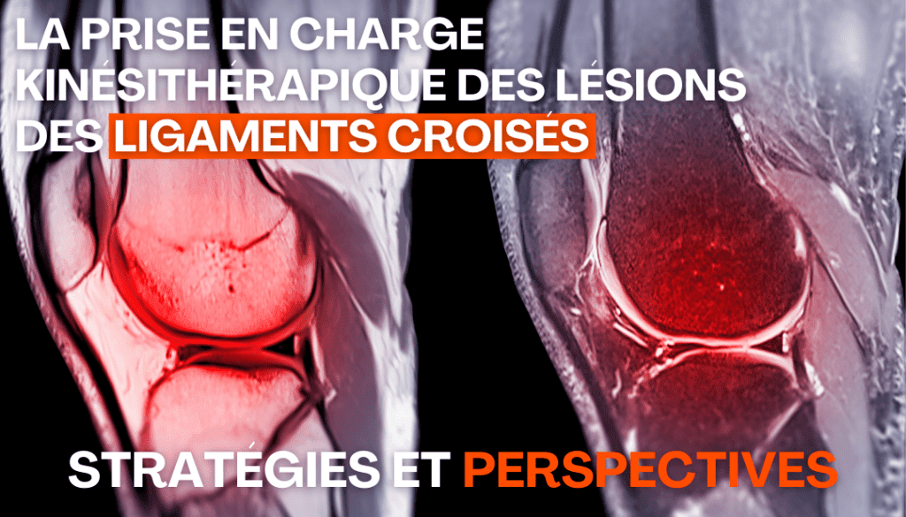 prise en charge kiné des lesions des ligaments croise strat et perspectives