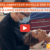 Élevez Votre Pratique L'Approche Essentielle des Liens Cervico-Maxillo-Faciaux en Kinésithérapie ! (Vidéo)