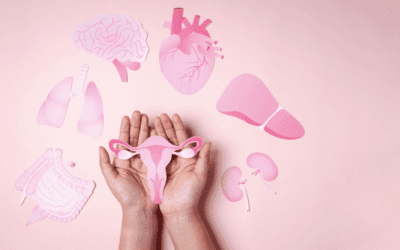 Formation E-learning – Rééducation pelvi-périnéale féminine les bases (Nouvelle Formation)