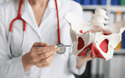 Formation E-learning – Renforcement abdominal et santé du périnée (Nouvelle Formation)