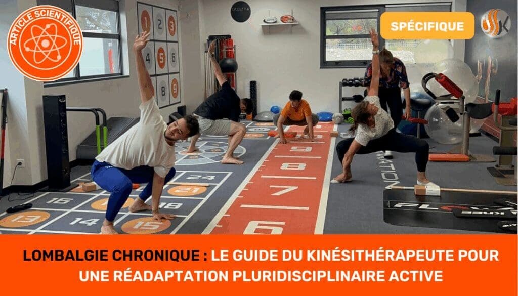 Lombalgie Chronique Le Guide du Kinésithérapeute pour une Réadaptation Pluridisciplinaire Active article scientifique