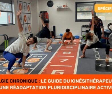 Lombalgie Chronique Le Guide du Kinésithérapeute pour une Réadaptation Pluridisciplinaire Active article scientifique