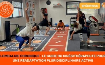 Lombalgie Chronique Le Guide du Kinésithérapeute pour une Réadaptation Pluridisciplinaire Active article scientifique